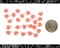 8mm x 6mm Soft Pink Glass Bell Flower Beads One Strand - XXX - GB-FB08